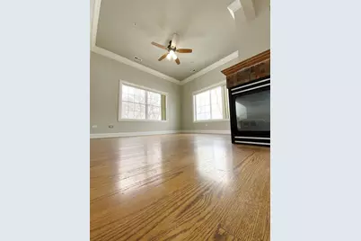 219 N White Street, Frankfort, IL 60423 - Photo 27