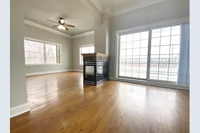 219 N White Street, Frankfort, IL 60423 - Photo 29