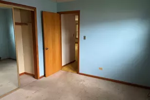 10031 S Forest Ave, Chicago, IL 60628 - Photo 9
