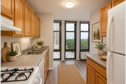 6700 S South Shore Drive #10G, Chicago, IL 60649 - Photo 9