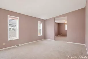 4 Hialeah Ct, Grayslake, IL 60030 - Photo 3