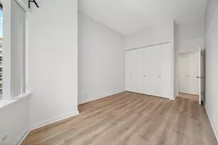 211 E Ohio St, Chicago, IL 60611 - Photo 9
