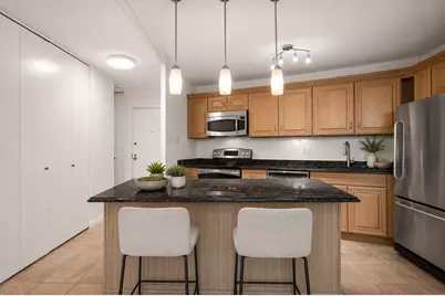 211 E Ohio Street #2915, Chicago, IL 60611 - Photo 5
