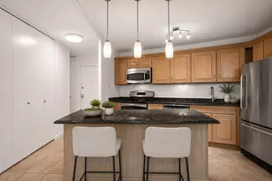 211 E Ohio St, Chicago, IL 60611 - Photo 5