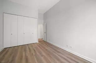 211 E Ohio St, Chicago, IL 60611 - Photo 9