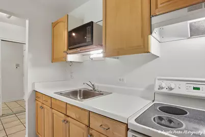 6 Villa Verde Drive #110, Buffalo Grove, IL 60089 - Photo 9