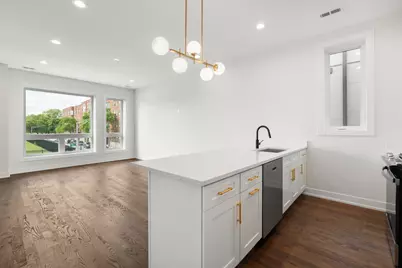 420 E 50th Place #1, Chicago, IL 60615 - Photo 3