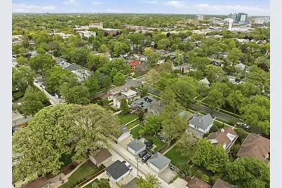 234 Franklin Avenue, River Forest, IL 60305 - Photo 47