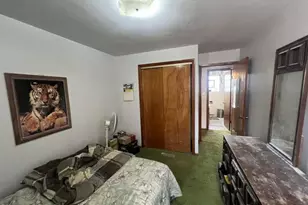 419 Luella Ave, Calumet City, IL 60409 - Photo 19