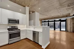 1071 W 15th St, Chicago, IL 60608 - Photo 3