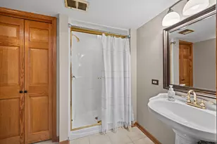 17131 Warbler Ln, Orland Park, IL 60467 - Photo 35