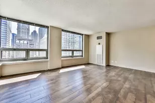 440 N Wabash Ave, Chicago, IL 60611 - Photo 5