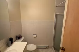 1117 Leavitt Ave, Flossmoor, IL 60422 - Photo 15