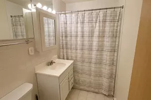 1117 Leavitt Ave, Flossmoor, IL 60422 - Photo 19