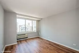 211 E Ohio St, Chicago, IL 60611 - Photo 7