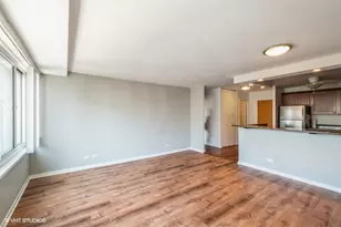 211 E Ohio St, Chicago, IL 60611 - Photo 5