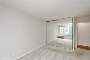 211 E Ohio St, Chicago, IL 60611 - Photo 9