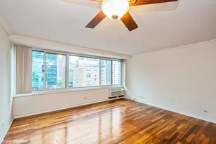 211 E Ohio St, Chicago, IL 60611 - Photo 3