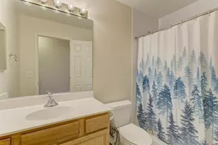 1679 W Ethan's Glen Dr, Palatine, IL 60067 - Photo 17