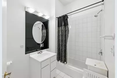 734 S Oakley Boulevard, Chicago, IL 60612 - Photo 11
