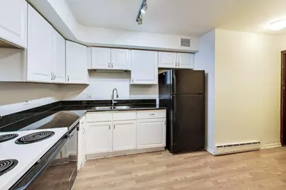 201 E Chestnut Street #1A, Chicago, IL 60611 - Photo 9