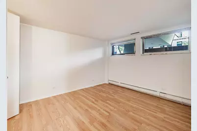 201 E Chestnut Street #1A, Chicago, IL 60611 - Photo 11