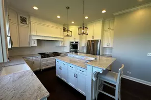 23241 Sunburst Point, Frankfort, IL 60423 - Photo 19