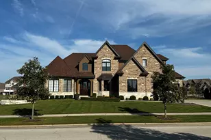 23241 Sunburst Point, Frankfort, IL 60423 - Photo 1