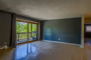 6655 172nd St, Tinley Park, IL 60477 - Photo 3