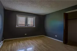 6655 172nd St, Tinley Park, IL 60477 - Photo 9