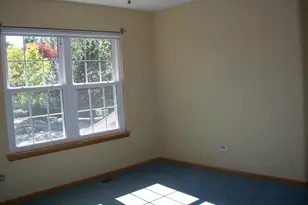 964 Elderberry Cir, Naperville, IL 60563 - Photo 19