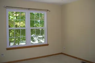 964 Elderberry Cir, Naperville, IL 60563 - Photo 17