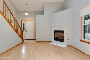964 Elderberry Cir, Naperville, IL 60563 - Photo 5