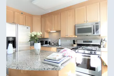 33 W Ontario Street #16D, Chicago, IL 60654 - Photo 9