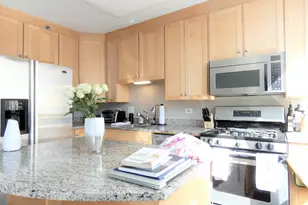 33 W Ontario St, Chicago, IL 60654 - Photo 9