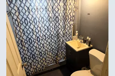 321 W 47th Street, Chicago, IL 60609 - Photo 9