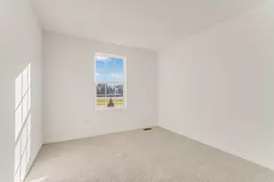 10902 Chadsey Cir, Huntley, IL 60142 - Photo 25