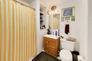 708 W Buckingham Pl, Chicago, IL 60657 - Photo 63