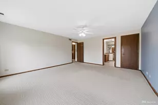 9822 Mill Dr W, Palos Park, IL 60464 - Photo 19