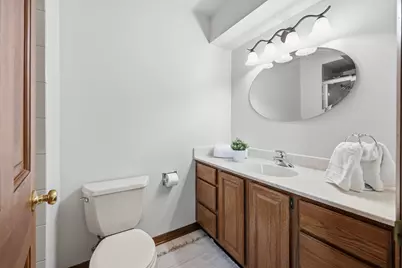 254 Woodville Lane, Schaumburg, IL 60193 - Photo 23