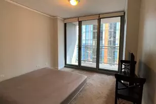 450 E Waterside Dr, Chicago, IL 60601 - Photo 17