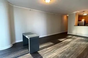 450 E Waterside Dr, Chicago, IL 60601 - Photo 3