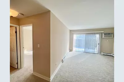 1461 N Winslowe Drive #304, Palatine, IL 60074 - Photo 7