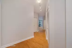 233 E 13th St, Chicago, IL 60605 - Photo 19