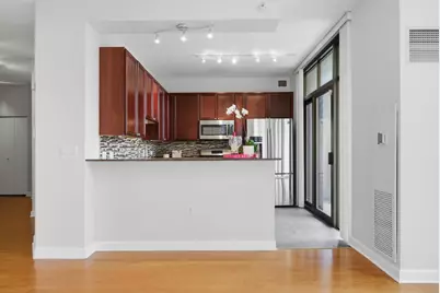 233 E 13th Street #709, Chicago, IL 60605 - Photo 11
