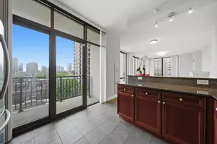 233 E 13th St, Chicago, IL 60605 - Photo 15