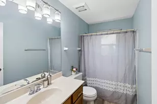 721 Ambria Dr, Mundelein, IL 60060 - Photo 15