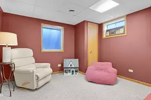 16149 Eagle Ridge Dr, Tinley Park, IL 60477 - Photo 23