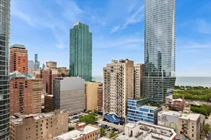 1101 S State St, Chicago, IL 60605 - Photo 19