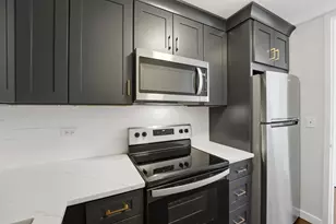 2626 N Lakeview Ave, Chicago, IL 60614 - Photo 11